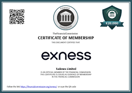 Understanding the Exness Affiliate Login Process Understanding the Exness Affiliate Login Process