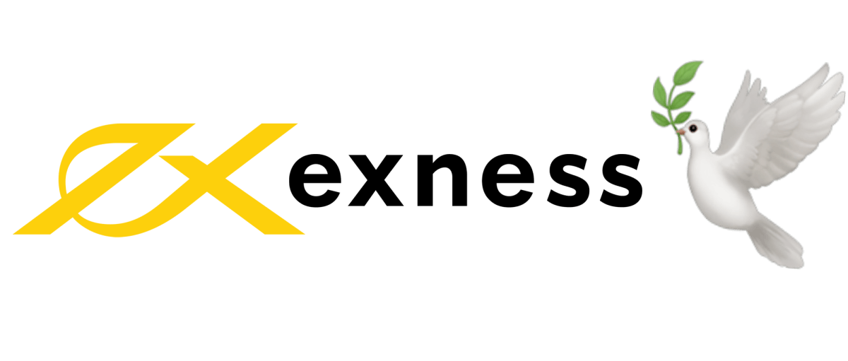 Understanding the Exness Group A Comprehensive Overview